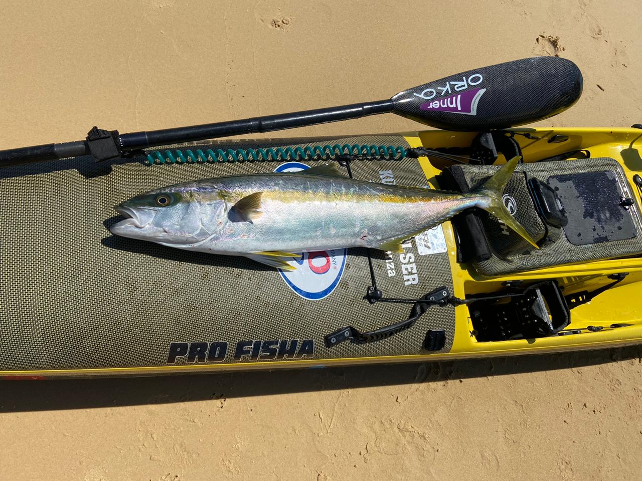 The Beginners guide to Kayak Fishing Cape Town KAYAKFISH